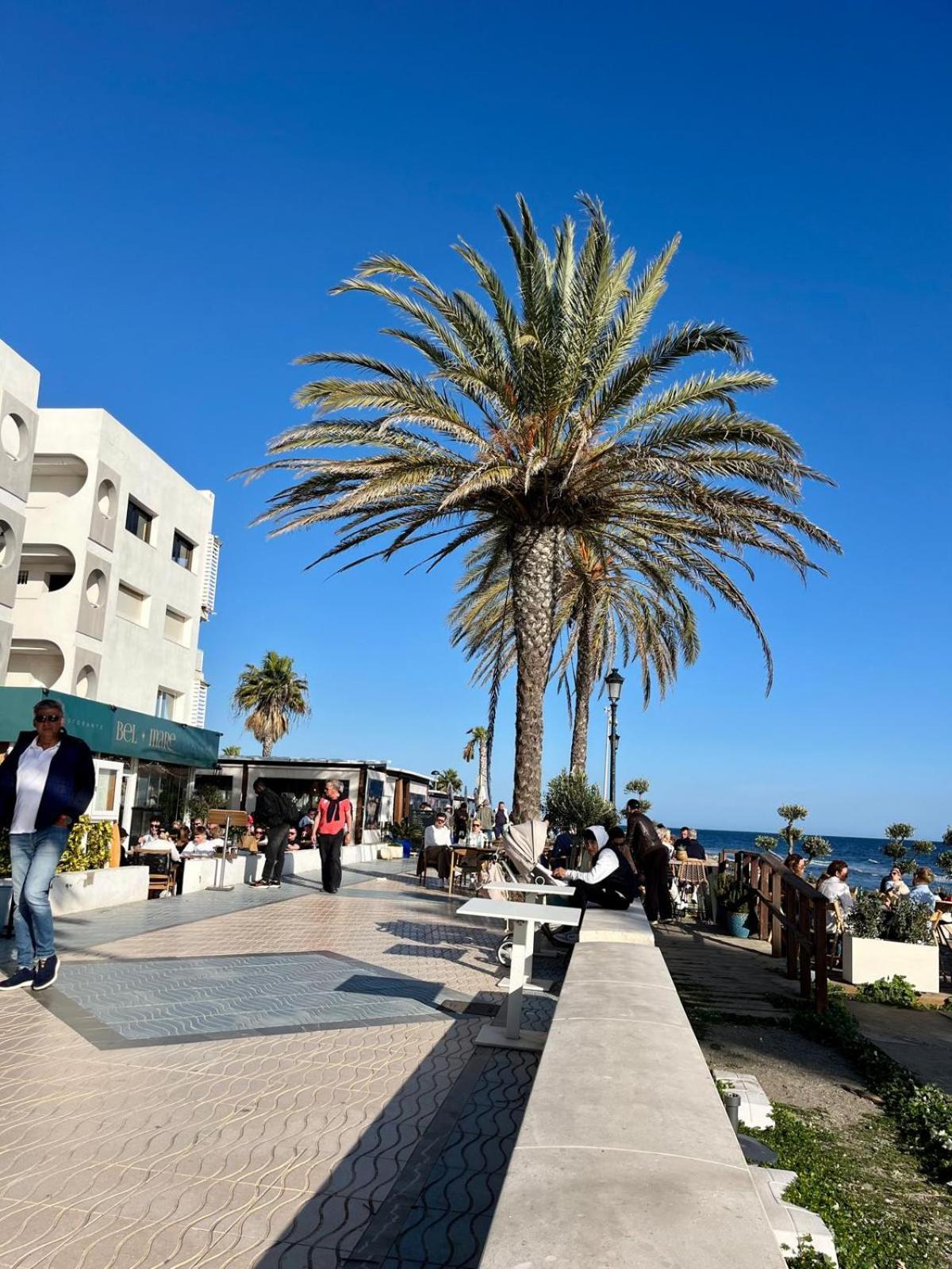 Apartment Beachfront San Pedro Alcantara Marbella